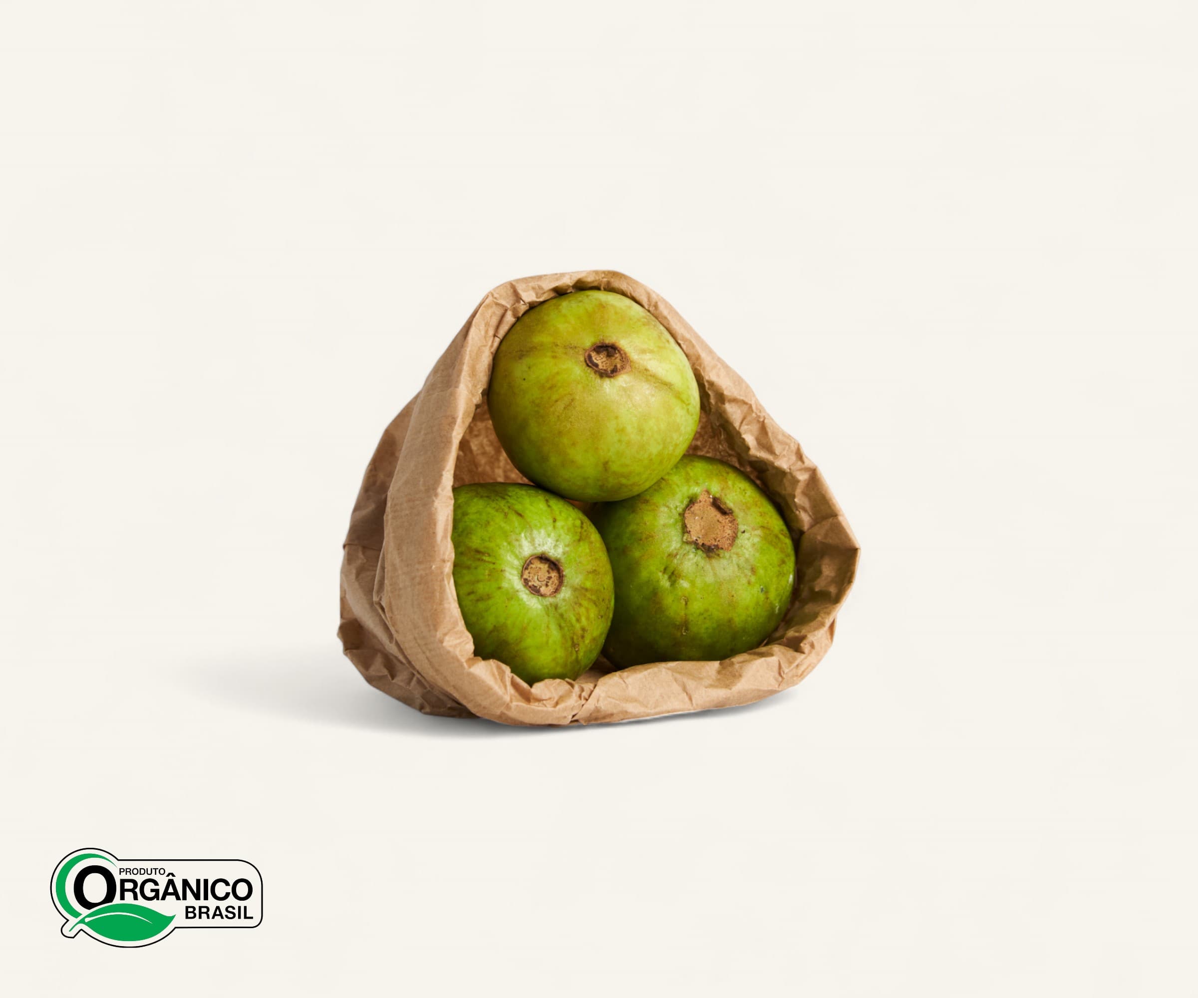 Goiaba orgânica 500g | 3 a 4un