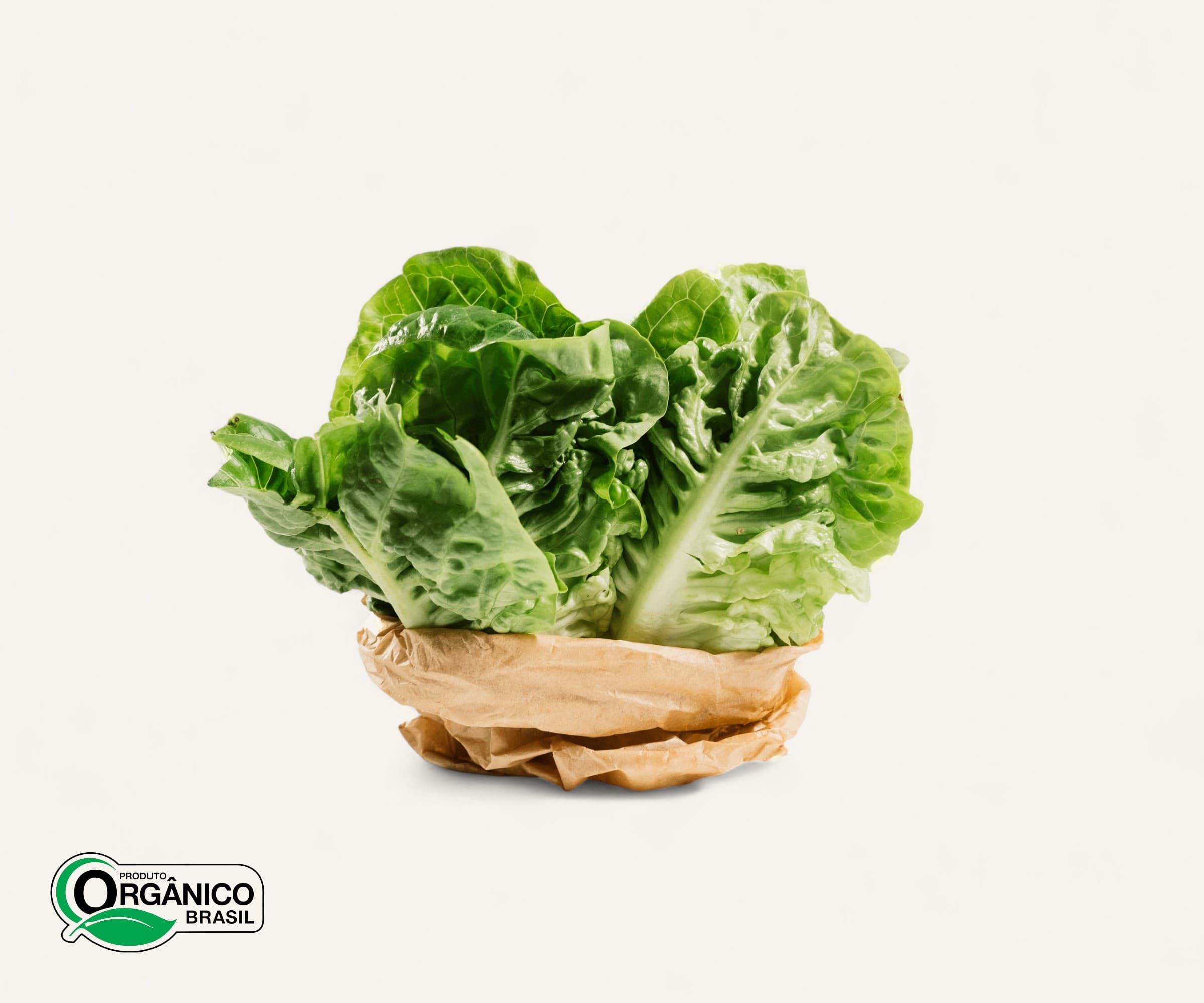 Mini Alface Romana Orgânica 100g