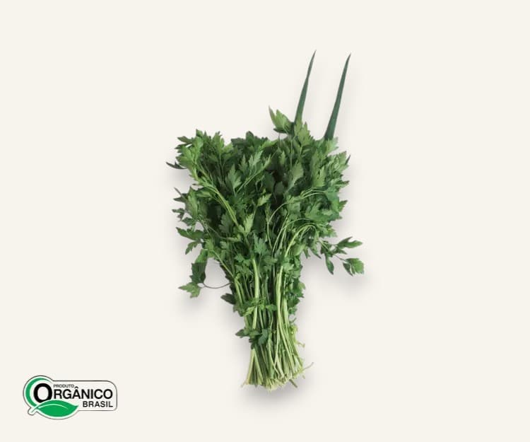 Cheiro verde orgânico 100g