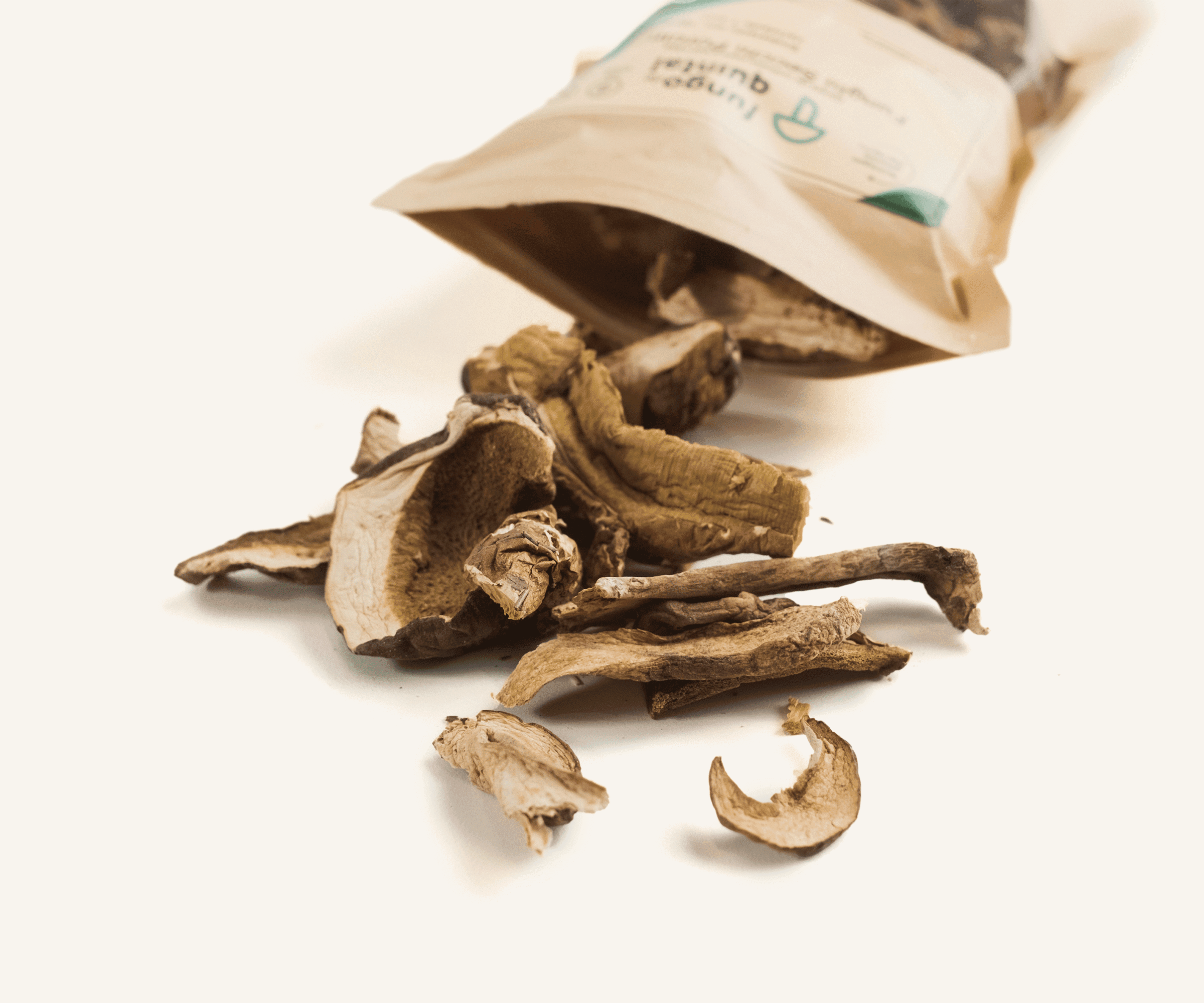 Funghi secchi porcini italiano 50g