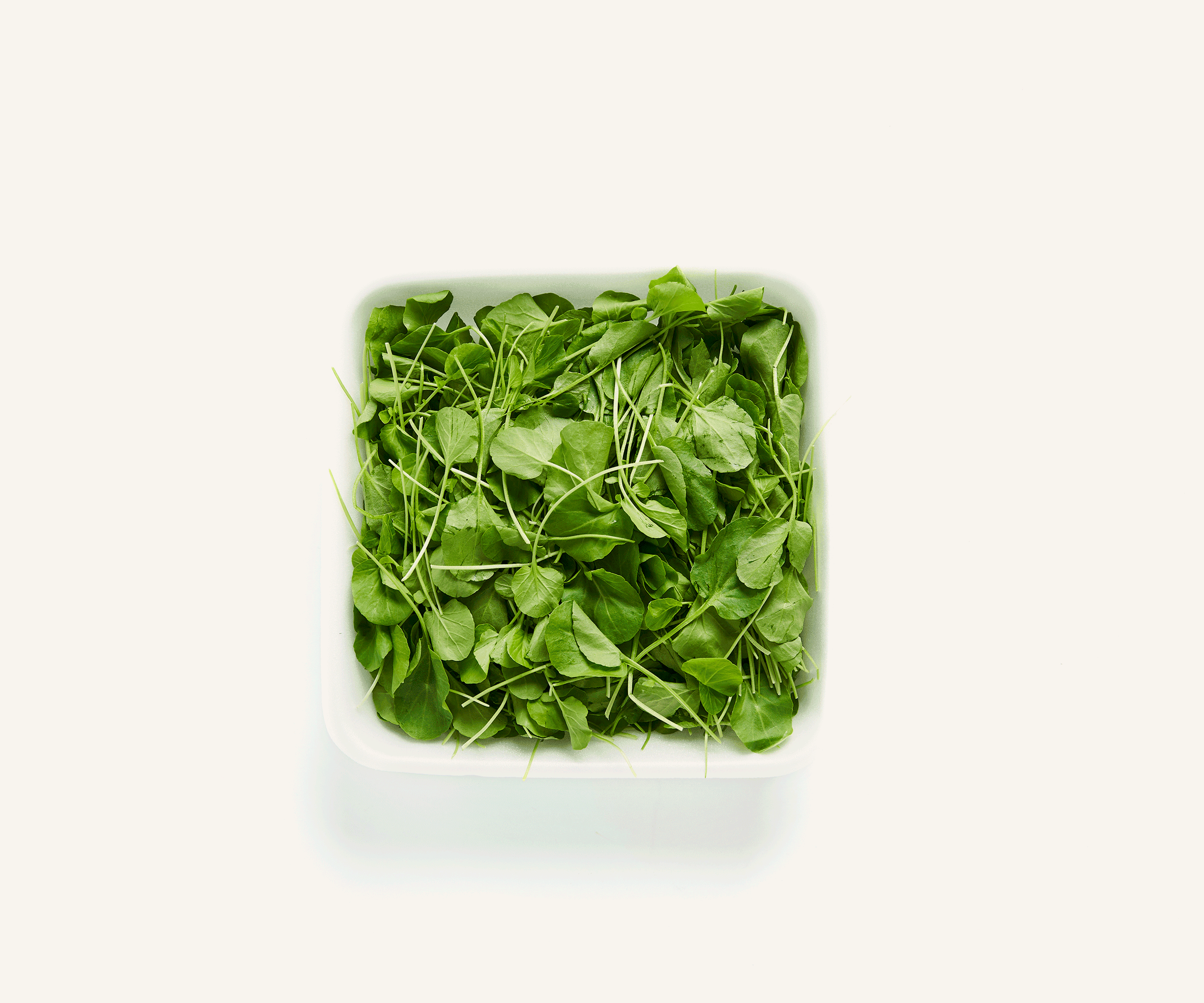 Mini agrião higienizado 150g