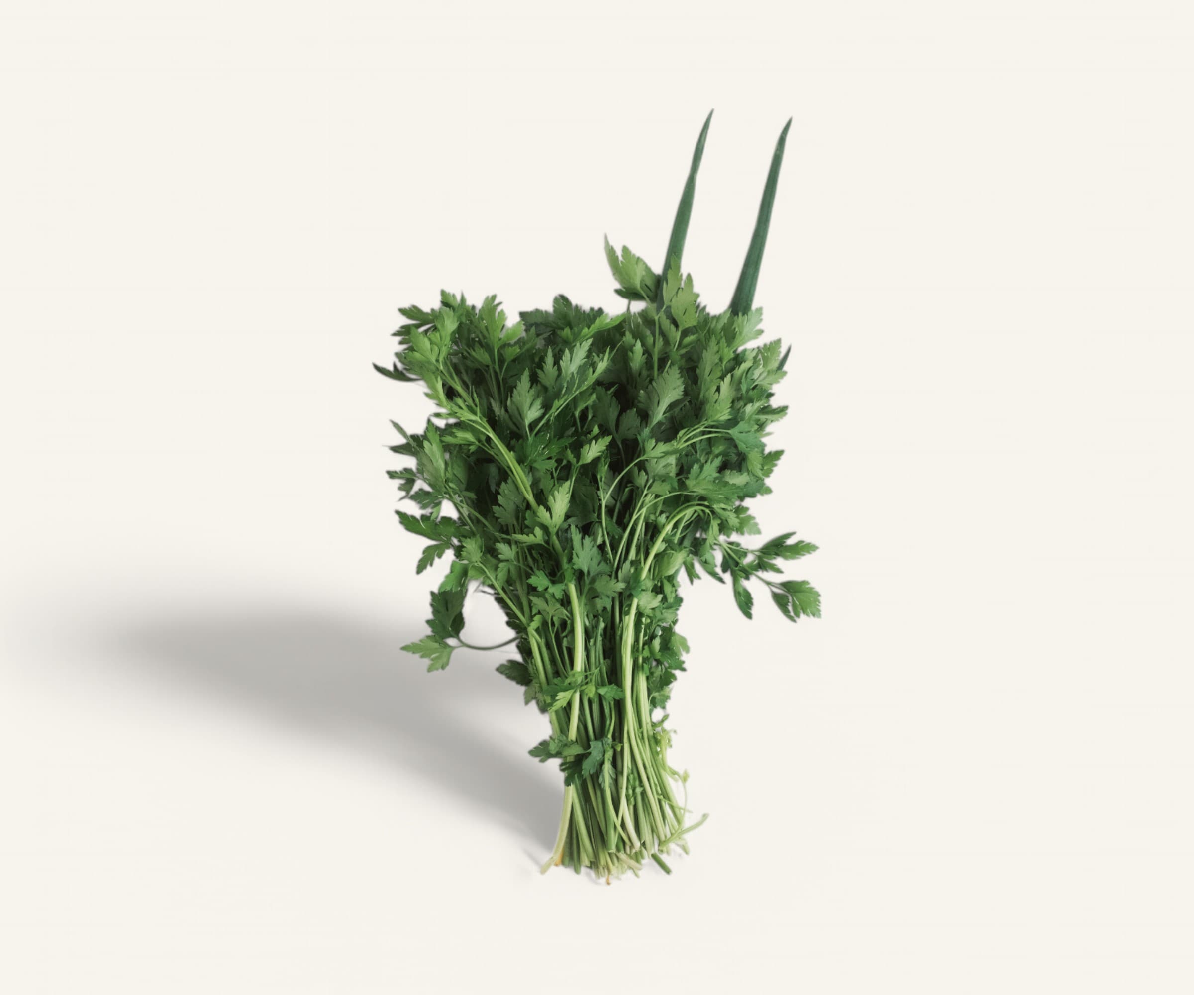 Cheiro Verde orgânico 100g